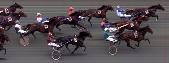 Målfoto for løp 7 på bane BI den 03.08.2014