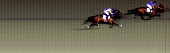 Målfoto for løp 8 på bane BI den 12.09.2014