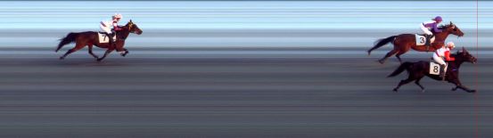 Målfoto for løp 1 på bane BI den 03.01.2015