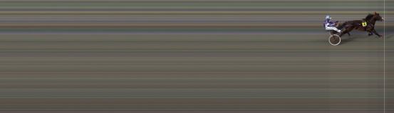 Målfoto for løp 1 på bane BI den 31.07.2015