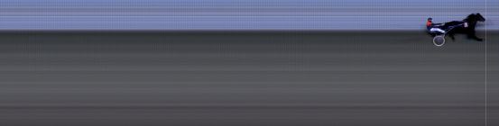 Målfoto for løp 8 på bane BI den 06.01.2017