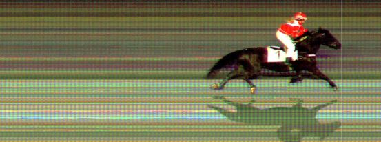 Målfoto for løp 4 på bane BI den 01.10.2021