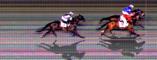 Målfoto for løp 6 på bane BI den 01.10.2021