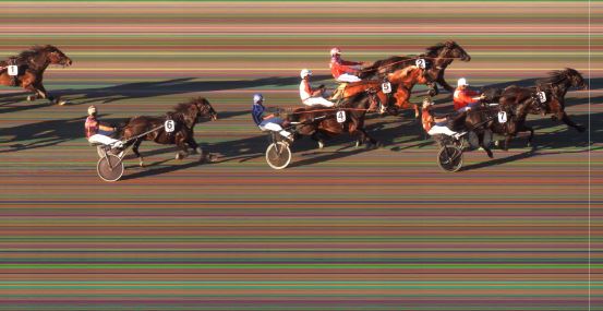 Målfoto for løp 5 på bane BI den 25.06.2024