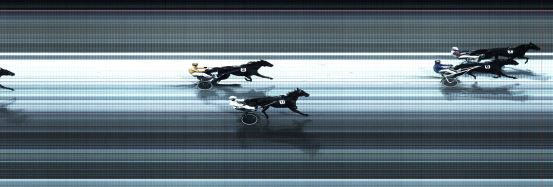 Målfoto for løp 5 på bane BJ den 24.11.2015