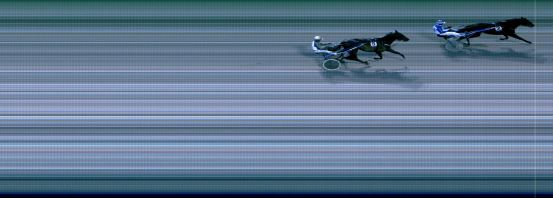 Målfoto for løp 5 på bane BJ den 22.12.2016