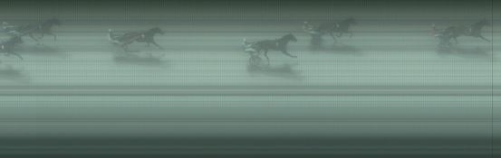 Målfoto for løp 6 på bane BJ den 21.02.2021