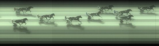 Målfoto for løp 6 på bane BJ den 10.10.2023