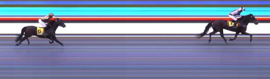 Målfoto for løp 1 på bane DR den 10.08.2019