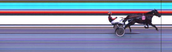 Målfoto for løp 10 på bane DR den 10.08.2019