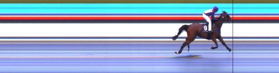 Målfoto for løp 6 på bane DR den 10.08.2019