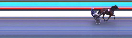 Målfoto for løp 8 på bane DR den 10.08.2019