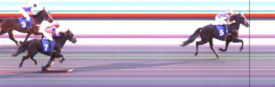 Målfoto for løp 2 på bane DR den 01.09.2019