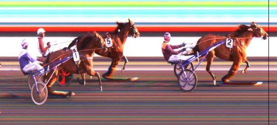 Målfoto for løp 5 på bane DR den 01.09.2019