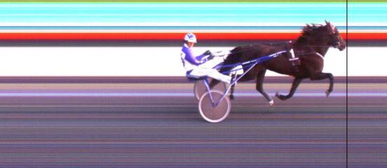 Målfoto for løp 6 på bane DR den 01.09.2019