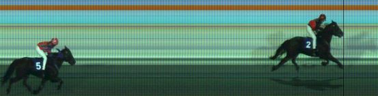 Målfoto for løp 4 på bane DR den 18.11.2019