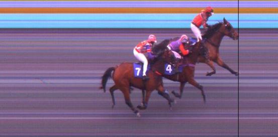 Målfoto for løp 2 på bane DR den 21.12.2019