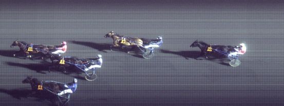 Målfoto for løp 1 på bane FO den 11.02.2014