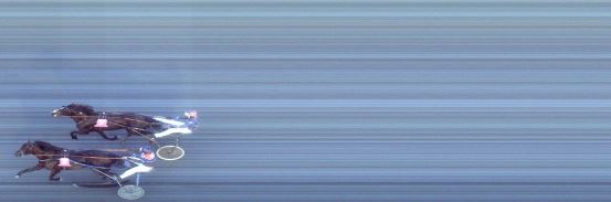 Målfoto for løp 8 på bane FO den 03.06.2014