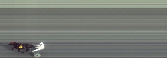 Målfoto for løp 1 på bane FO den 10.06.2014