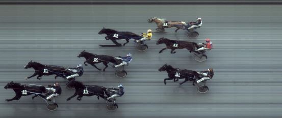 Målfoto for løp 5 på bane FO den 20.09.2014