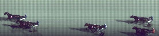 Målfoto for løp 8 på bane FO den 25.08.2015