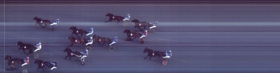 Målfoto for løp 8 på bane FO den 13.02.2016