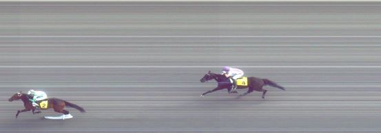 Målfoto for løp 1 på bane FO den 03.09.2016