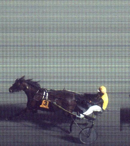 Målfoto for løp 1 på bane FO den 17.12.2016