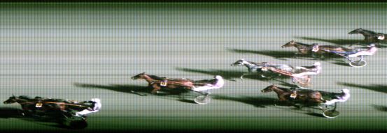 Målfoto for løp 7 på bane FO den 20.11.2018