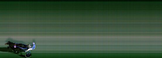 Målfoto for løp 8 på bane FO den 06.01.2019