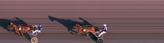 Målfoto for løp 1 på bane FO den 21.08.2019