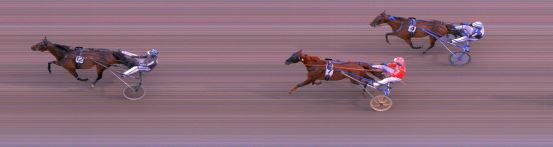 Målfoto for løp 5 på bane FO den 31.08.2019