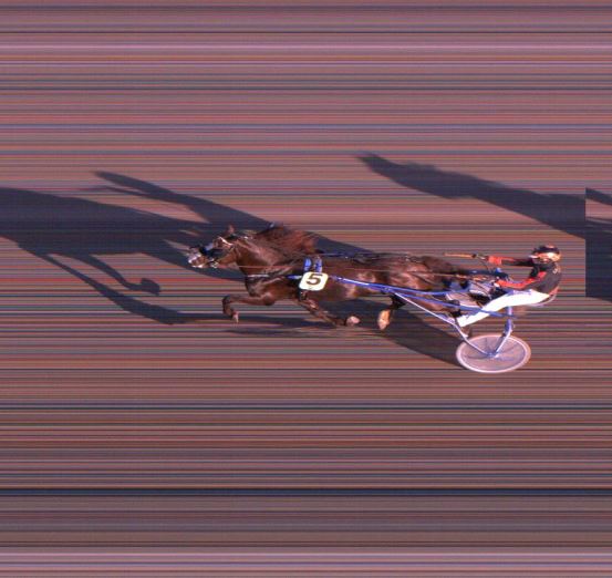 Målfoto for løp 1 på bane FO den 10.09.2019