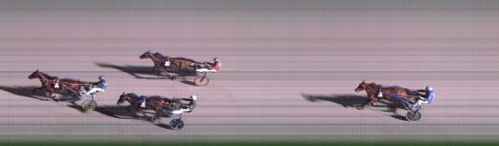 Målfoto for løp 8 på bane FO den 25.11.2020