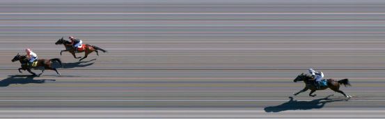 Målfoto for løp 1 på bane FO den 21.08.2021