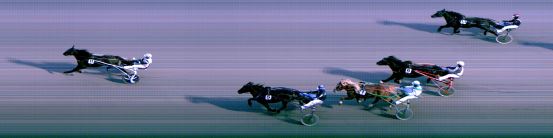 Målfoto for løp 5 på bane FO den 11.12.2021