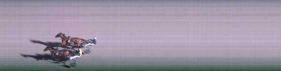 Målfoto for løp 8 på bane FO den 09.11.2022