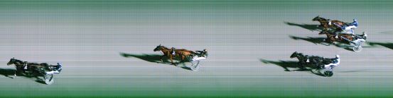 Målfoto for løp 6 på bane FO den 17.11.2022