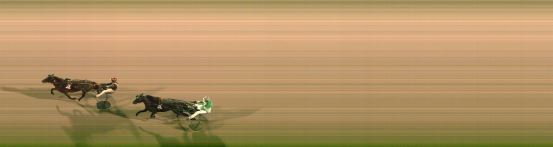 Målfoto for løp 8 på bane FO den 19.10.2023