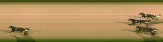 Målfoto for løp 5 på bane FO den 22.01.2024