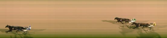 Målfoto for løp 8 på bane FO den 29.02.2024