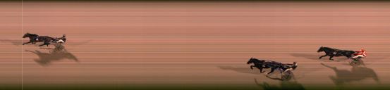 Målfoto for løp 8 på bane FO den 15.09.2024