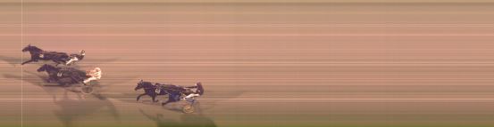 Målfoto for løp 5 på bane FO den 07.11.2024