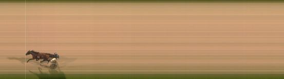 Målfoto for løp 7 på bane FO den 07.12.2024