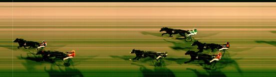 Målfoto for løp 8 på bane FO den 11.01.2025