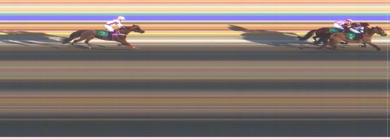 Målfoto for løp 2 på bane HA den 11.05.2019