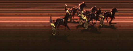 Målfoto for løp 8 på bane JA den 07.11.2014