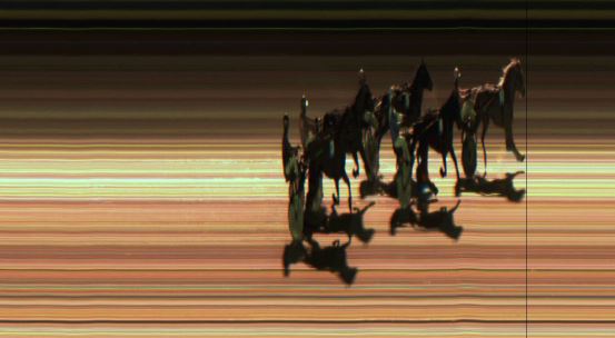 Målfoto for løp 2 på bane JA den 15.03.2019