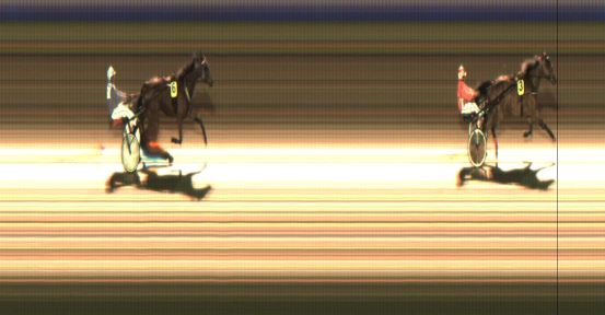 Målfoto for løp 1 på bane JA den 14.11.2021